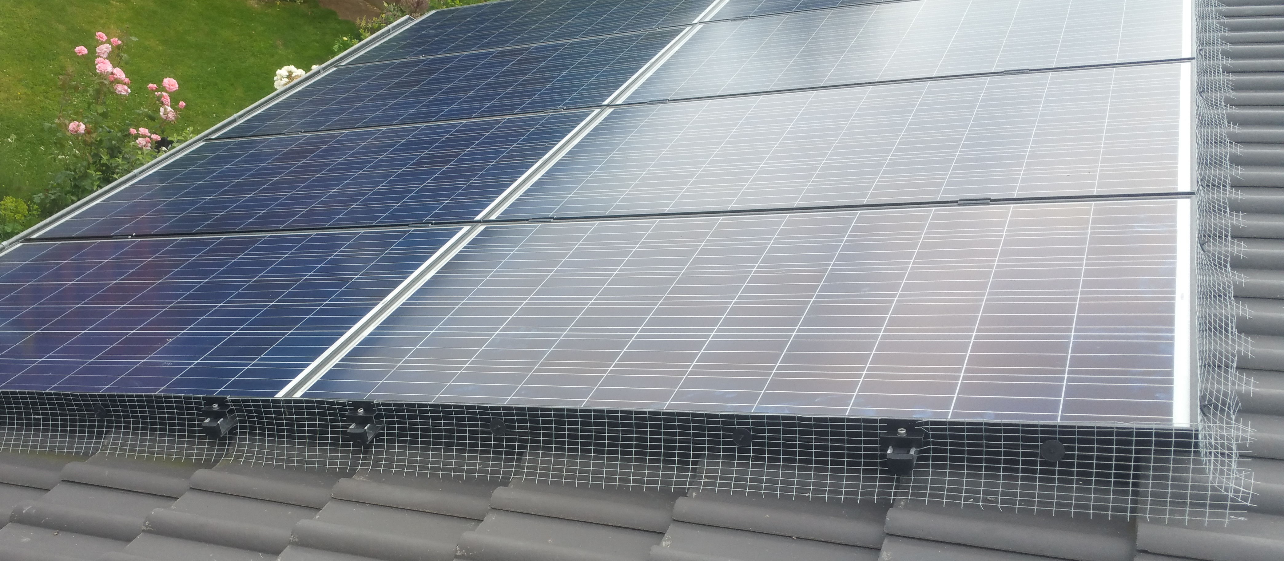 http://www.sunsparksolar.uk/uploads/images/pageimage/Pigeon_mesh1.png